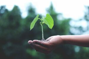 Fostering a Growth Mindset